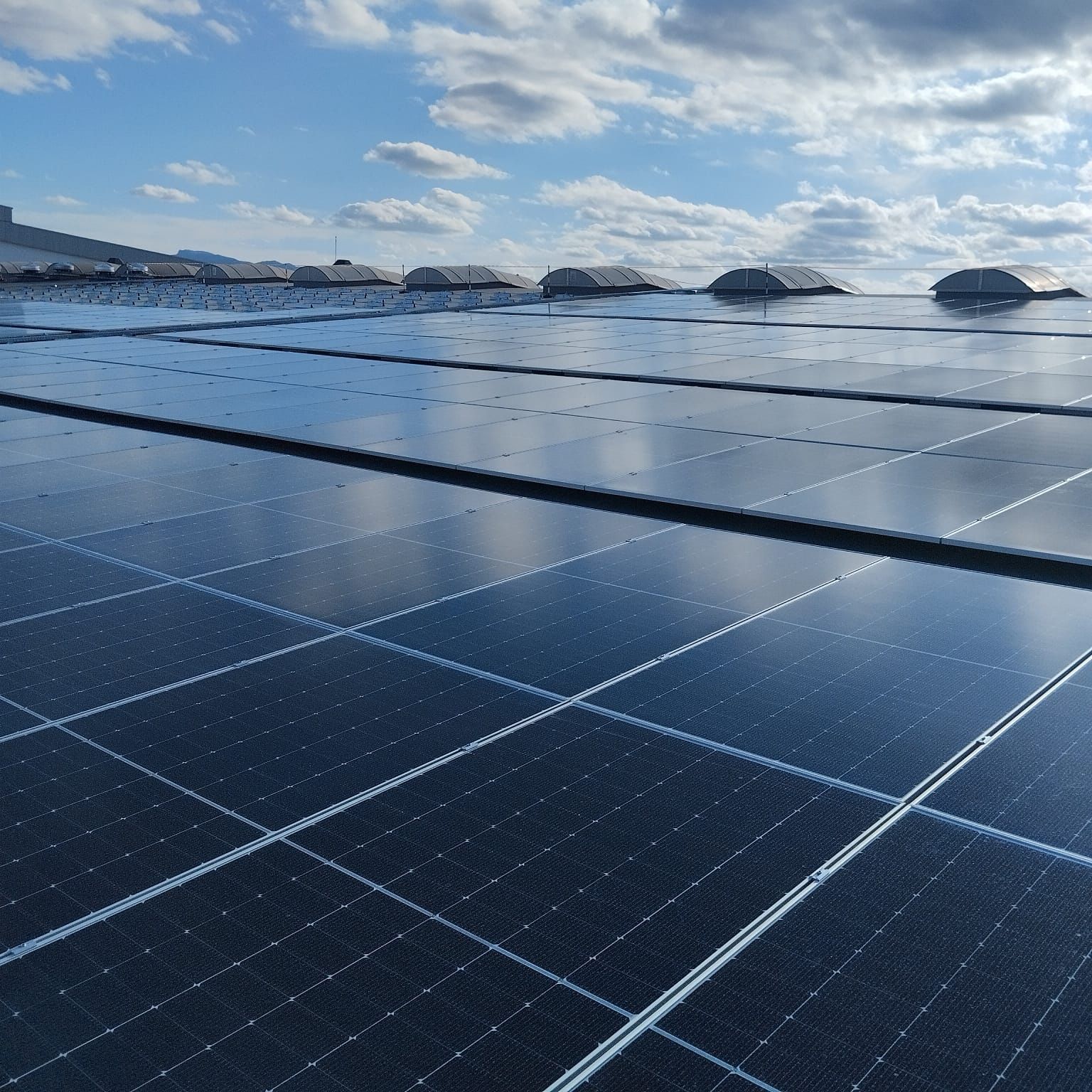 Tunisie transition energetique